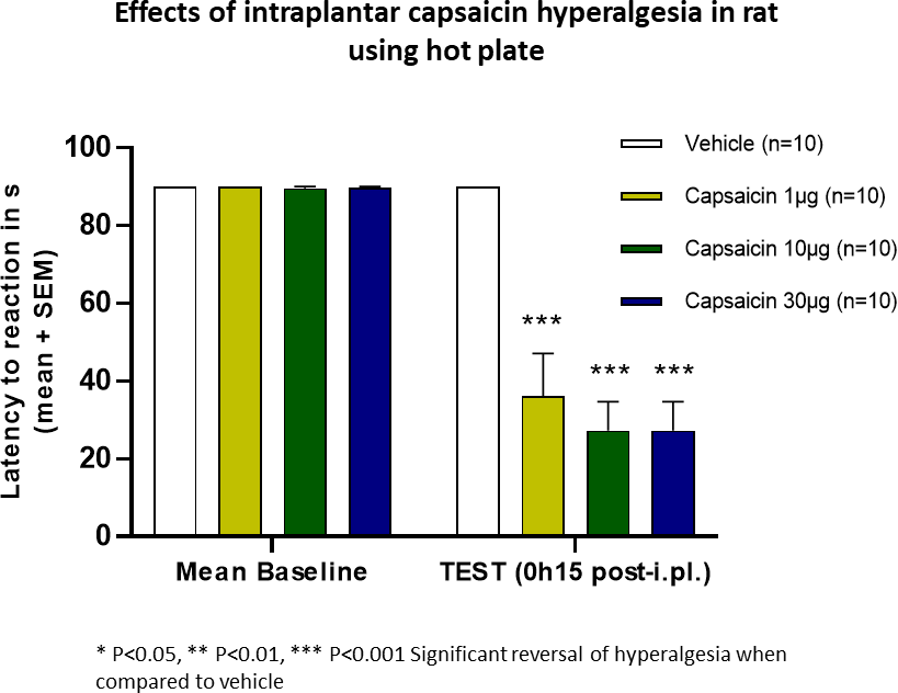 Effects of intraplantar capsaicin hyperalgesia in rat using hot plate