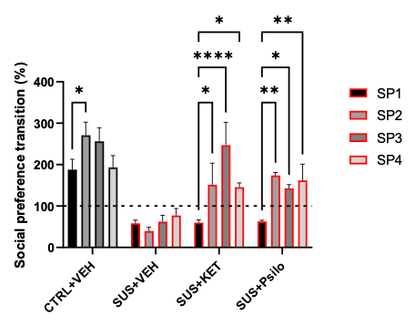 Chronic social defeat figure