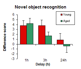 Novel Object Recognition bar chart